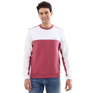 Allen Solly Men Pink Crew Neck Full