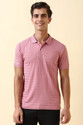 Allen Solly Men Solid Polo Neck Pure