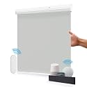 Allesin Motorized Roller Blinds Shade with Remote Control for Windows, Blackout Smart Roller Shades, Cordless &amp; Rechargeable Automatic Blinds for Home, Office (Grey,H72 x W29)