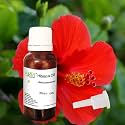Allin Exporters Hibiscus Oil 15ml, 100% Natural, &amp; Undiluted For Aromatherapy, Hair Care Oil &amp; Skin Care For All Skin Types