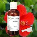 Allin Exporters Hibiscus Oil 50 Ml 100% Natural, &amp; Undiluted For Aromatherapy,Hair Care Oil &amp; Skin Care For All Skin Types