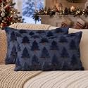 Allorry Christmas Pillow Covers 12x20 inch Set