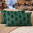 Allorry Christmas Pillow Covers 12x20 inch Set