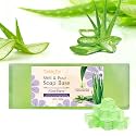 Aloe Vera Soap Base,Melt and Pour Soap Base SLS PEG Free 5.2 LBS