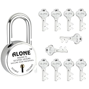 alone round padlock 65mm 3 keys buy 2 get 1 free hard shackle double locking  padlocks for home door gate shop shutter chrome finish rust free 3 keys buy2 get 1 round 65m pack 3