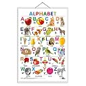 Alphabet Early Learning Educational Chart for Kids | 20"X30" inch |Non-Tearable and Waterproof | Double Sided Laminated | Perfect for Homeschooling, Kindergarten and Nursery Students