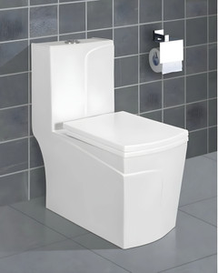 alpine ceramics 120delta alpine premiumgrade ceramic floor mounted one piece  strap 225mm   120delta alpine premiumgrade ceramic floor mounted one piece  strap 225mm   western commode white