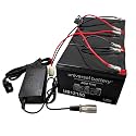 AlveyTech Premium 36 Volt Battery Pack for The Razor MX500 &amp; MX650 Dirt Rocket Dirt Bike (All Versions) (Batteries with XLR Charger, 15 Ah)