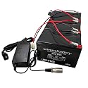 AlveyTech Premium 36 Volt Battery Pack for The Razor MX500 &amp; MX650 Dirt Rocket Dirt Bike (All Versions) (Batteries with XLR Charger, 12 Ah)