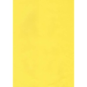 alvika - pack of - 100  lemon yellow 75 gsm a4 size copier paper for projectassignmentpracticalhomework  print copy scan sheet for printer