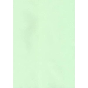 alvika - pack of - 100  mint green 75 gsm a4 size copier paper for projectassignmentpracticalhomework  print copy scan sheet for printer