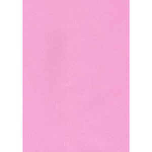 alvika - pack of - 100  rose pink 75 gsm a4 size copier paper for projectassignmentpracticalhomework  print copy scan sheet for printer