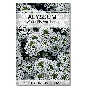 navika seeds  grow with us alyssum white flower seeds for home gardening perfect for terrace gardening winter and summer blooms in india - includes free e-book