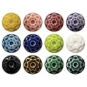 AMACO Celadon High Fire Gloss Glazes 12-Pint Class Pack, 12 Assorted Colors