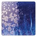 AMACO Cosmos Crystalline Gloss Glazes 6-Pint Class Pack (New Assortment!)