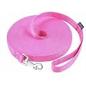 AMAGOOD Long Dog Training Leash 100 FT - 1 Inch Wide Heavy Duty Lead for Obedience Recall Agility Training, Tie Out, Camping - Pink - for Medium and Large Dogs