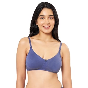 Amante Violet Women Solid Non Padded Super