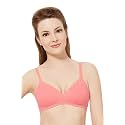 Amante Cotton Padded Wirefree Full Coverage T-Shirt Bra