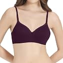 Amante Cotton Padded Wirefree Full Coverage T-Shirt Bra
