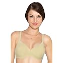 Amante Cotton Padded Wirefree Full Coverage T-Shirt Bra