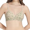 Amante Cotton Padded Wirefree Full Coverage T-Shirt Bra