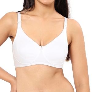 Amante Violet Women Solid Non Padded Super