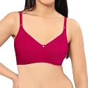 Amante Violet Women Solid Non Padded Super