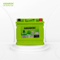 AMARON AAM-FL-550114042 50 Ah Battery for Car