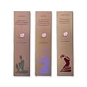 Amayah Eucalyptus + Organic Rose + Lavender Incense Sticks Agarbatti Combo | Organic Luxury Incense Sticks | Charcoal Free &amp; Natural Agarbatti for Pooja | Hand-Rolled 75 Incense Sticks