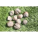 Amazing Marine Fossil Collection: 4 Fossilized Sea Urchins and 6 Authentic Brachiopods, Perfect for Collectors and Natural Decor A169