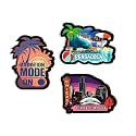 Chicago Pansacola Vacation Mode on Fridge Magnets- Set of 3 | Travel Souvenir | Refrigerator Magnet | Gifts | Decorative Items for Kitchen Fridge Magnets Set | Multicolor (FM_101)
