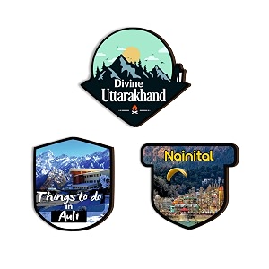 uttrakhand fridge magnets- set of 3  travel souvenir  refrigerator magnet  gifts  decorative items for kitchen fridge magnets set  multicolor fm_86