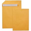 Amazon Basics Catalog Mailing Envelopes, Peel and Seal, 9" x 12", Brown Kraft, 100-Pack