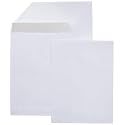Amazon Basics Catalog Mailing Envelopes, Peel and Seal, 9x12 Inch, White, 250-Pack