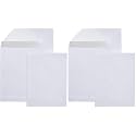 Amazon Basics Catalog Mailing Envelopes,Peel and Seal,9x12 Inch,White,250 Count (Pack of 2)