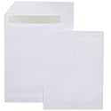 Amazon Basics Catalog Mailing Envelopes, Peel and Seal, 10 x 13 Inch, White, 100-Pack