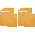 Amazon Basics Catalog Mailing Envelopes,Peel and Seal,10x13 Inch,Brown Kraft,250 Count (Pack of 2)