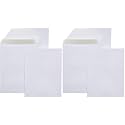 Amazon Basics Catalog Self Seal Envelopes for Documents, Booklets, Mailers, 10x13 Inch, 28 lb, White, 250 Count (Pack of 2)