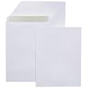 Amazon Basics Catalog Self Seal Envelopes for Documents, Booklets, Mailers, 10x13 Inch, 28 lb, White, 250-Pack