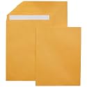 Amazon Basics Catalog Self Seal Mailing Envelopes, Peel and Seal, 10" x 13", Brown Kraft, 250-Pack