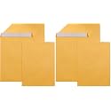 Amazon Basics Catalog Self Seal Mailing Envelopes for Documents, Peel and Seal, Brown Kraft, 250 Count, 9" x 12" (Pack of 2)