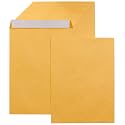 Amazon Basics Catalog Self Seal Mailing Envelopes for Documents, Peel and Seal, 9" x 12", Brown Kraft, 250-Pack