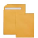 Amazon Basics Catalog Shipping Envelopes, Peel and Seal, 10" x 13", Brown Kraft, 100-Pack