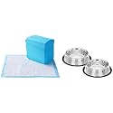 Amazon Basics Dog Pee Pads with Leak-Proof Quick-Dry Design for Potty Training, Heavy Duty Absorbency, Regular Size, 24 x 23 Inches - Pack of 80 &amp; Stainless Steel Printed Pet Bowl, 700ml Pack of 2