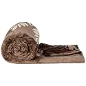 amazon basics Plush Blanket | Double Size | 300 GSM 100% Polyester| Super Soft &amp; Cozy (Light Brown)