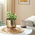 amazon basics Hammered Metal Planter for Home Decor (Set of 2) | Suitable for Indoor Outdoor Balcony Living Room | (Gold)