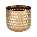 amazon basics Metal Indoor Planter| Pineapple Textured | for Drawing Room/Balcony/Office Décor | Gold