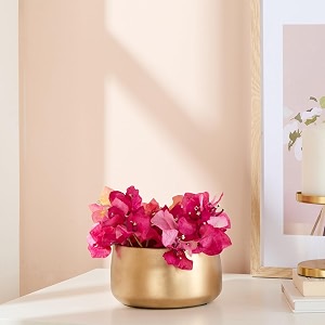 amazon basics metal plant pots with drainage holes  indoor small planter flower pots  for living room and bedroom decor gold