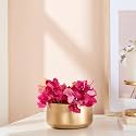 amazon basics Metal Plant Pots with Drainage Holes | Indoor Small Planter Flower Pots | for Living Room and Bedroom Decor (Gold)