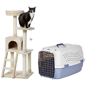 amazon basics multi-level cat tree indoor climbing activity cat tower with scratching posts cave and step ladder 19 x 19 x 50 inches beige amp amazon basics two door top load pet kennel 23-inch